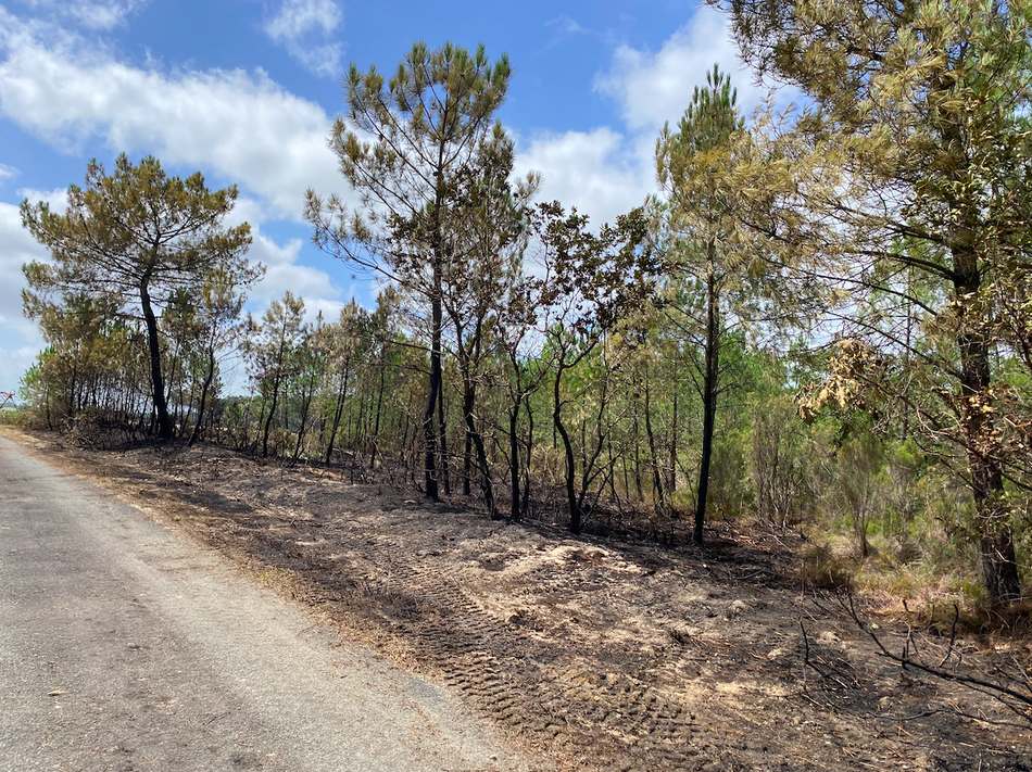 Un incendie a pu être maîtrisé rapidement à Lugos dans la matinée de ce jeudi./Photo LB