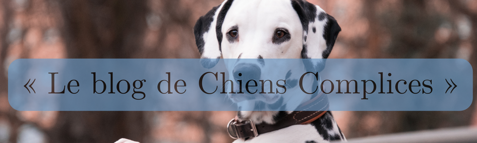 Site de blogchienscomplices !