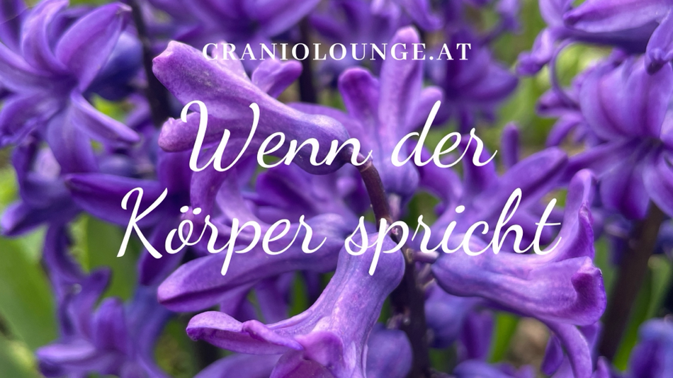 Mobile Cranio Sacral Therapie von Wien bis Melk bei Stress, Verspannungen und Erschöpfung