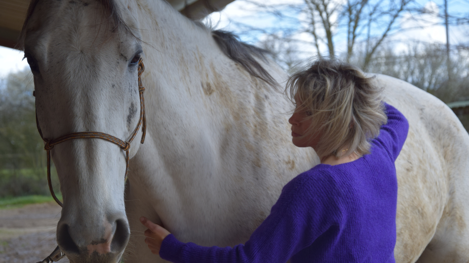 Horse Like, praticien technique EMMETT et masseur équin à Toulouse