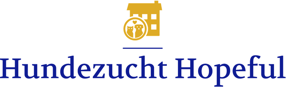 Hundezucht Hopeful - Australian Labradoodle - Sybille Müller - 6362 Stansstad - Nidwalden