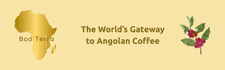 De website van infoboaterraeu!