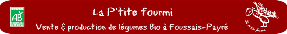 Vente et production de légumes bio