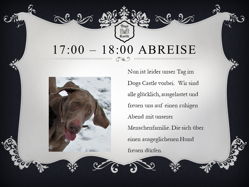 Nun ist leider unser Tag im Dogs Castle Hundetagesstätte Aargau vorbei.  Wir sind alle glücklich, ausgelastet und freuen uns auf einen ruhigen Abend mit unserer Menschenfamilie. Die sich über einen ausgeglichenen Hund freuen dürfen. Hundesitter