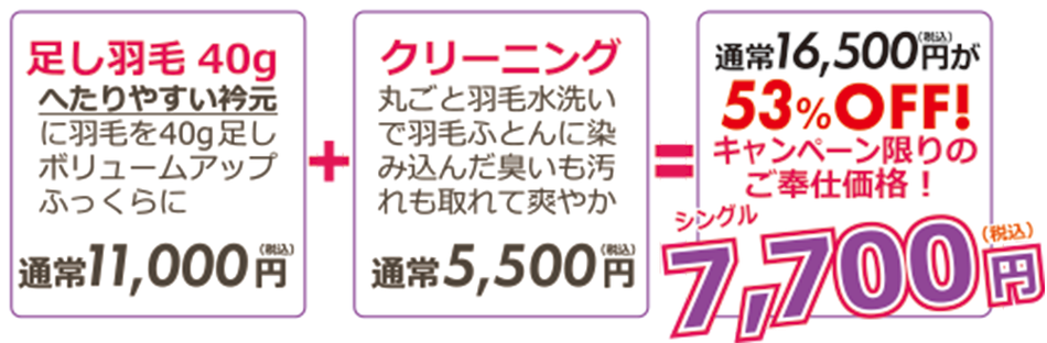 キャンペーン概要の説明図　16500円が7700円で提供