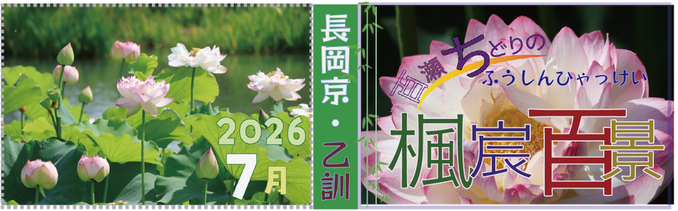 百瀬ちどりの楓宸百景