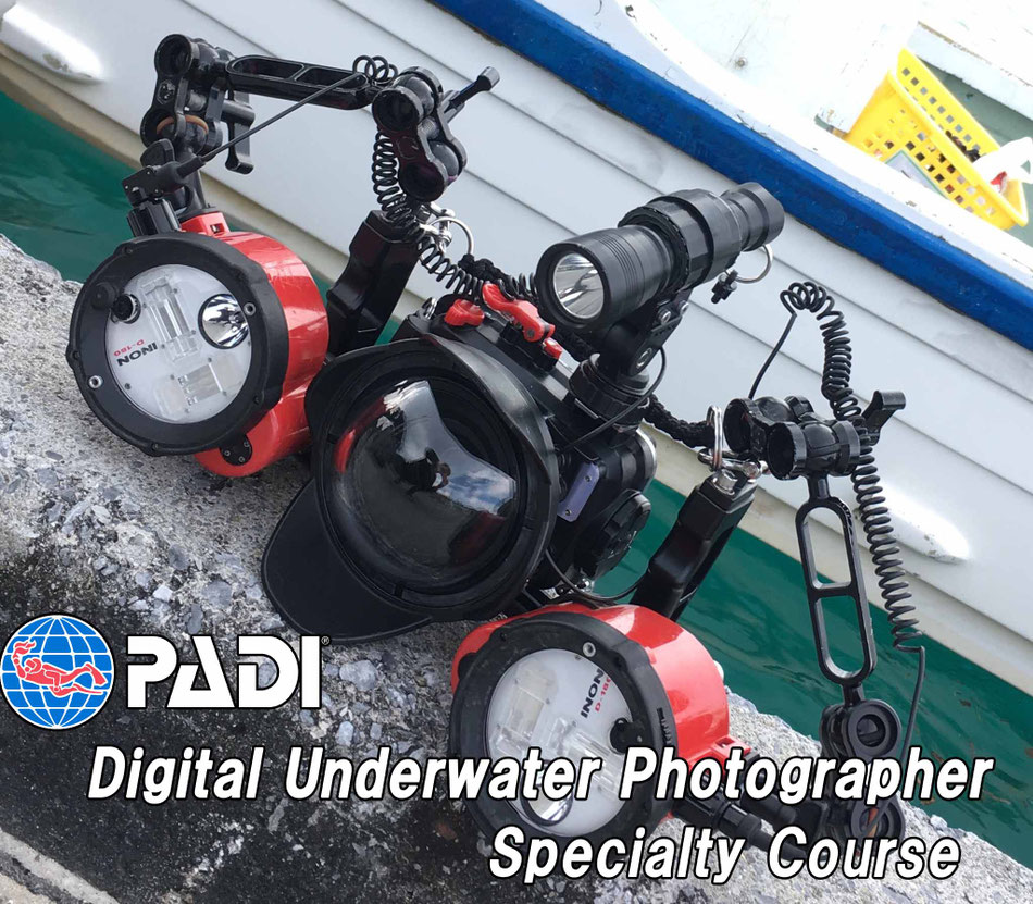 Digital Underwater Photographer Specialty Course デジタルアンダーウォーター フォトグラファー