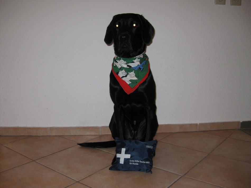 Vitalwerte beim Hund labradorretrievertonis Webseite!