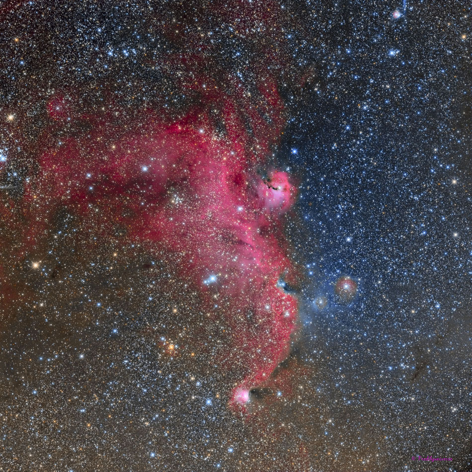 Nebulosa de la Gaviota (IC2177)