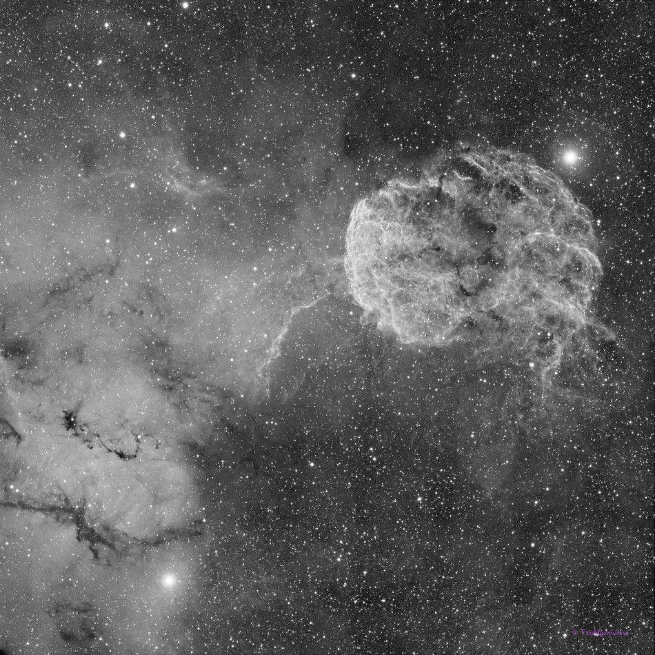 The Jellyfish Nebula IC443