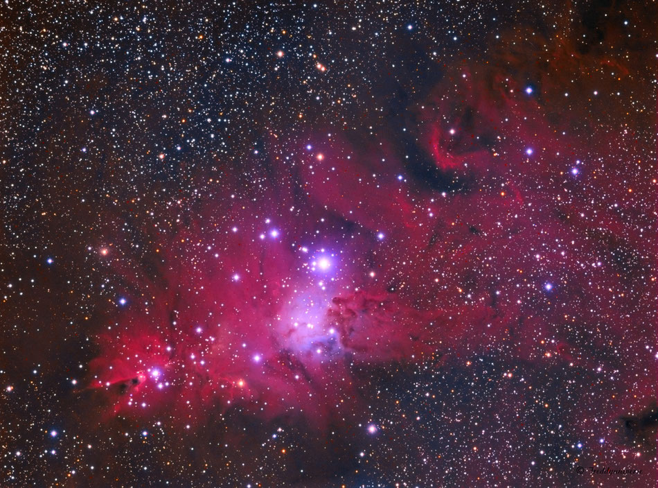 Nebulosa del Cono, Árbol de Navidad y La piel del Zorro.