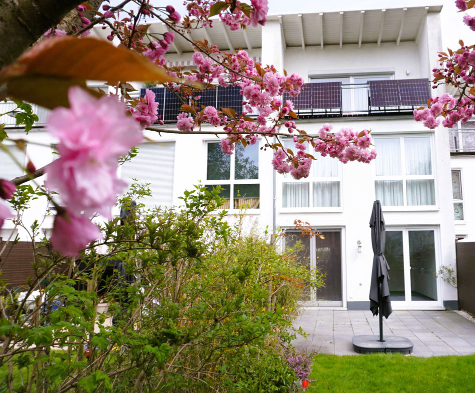 Haus in Sundern kaufen
