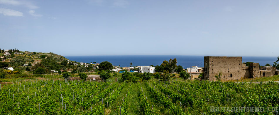 isola,salina,liparische,inseln,vulkaninseln,italien,äolische,vulkaninsel, mai, tipps,point,of,view,hike,spring,grüne