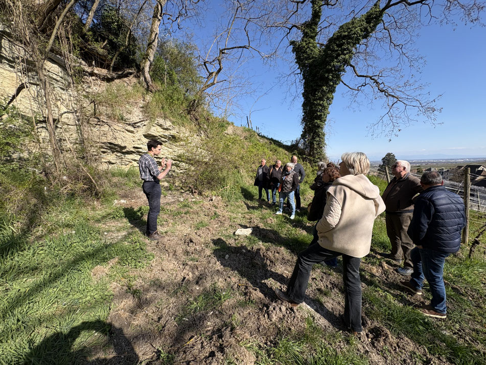 Dans la carrière de gypse du Schoenenbourg avec Pierre  Trapet 