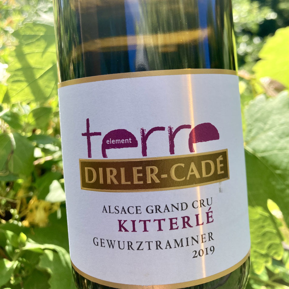 L'origine de ce cépage, dont le vin se recommande tout seul, est enveloppée d'obscurité. Sa culture sur le Rhin est très ancienne, et il n'est pas impossible que le cépage Traminer ait déjà été cultivé ici par les Romains.