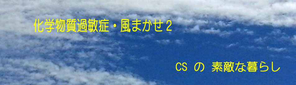 CS風まかせ２