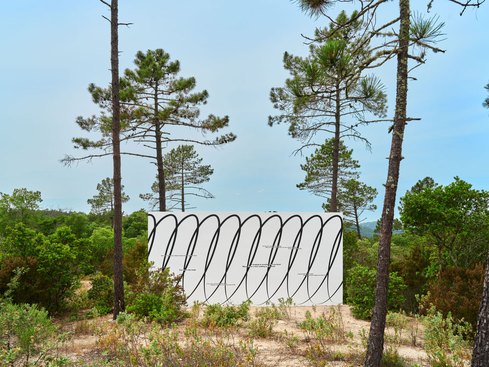 Claudia Comte, Galerie Mitterrand, Domaine du Muy © Jean-Christophe Lett