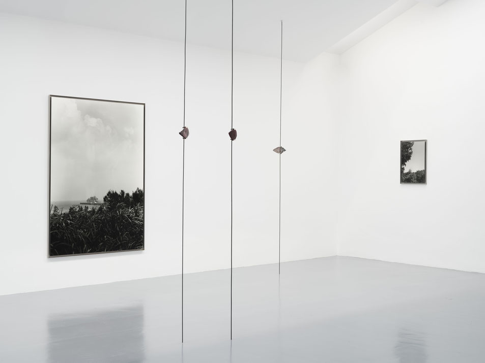 Victoire Thierré, Collection Lambert © Jean-Christophe Lett