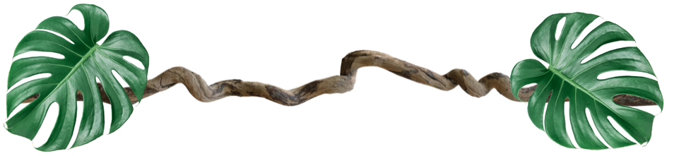 Mélodie THIANCOURT Blog de Melodie Thiancourt