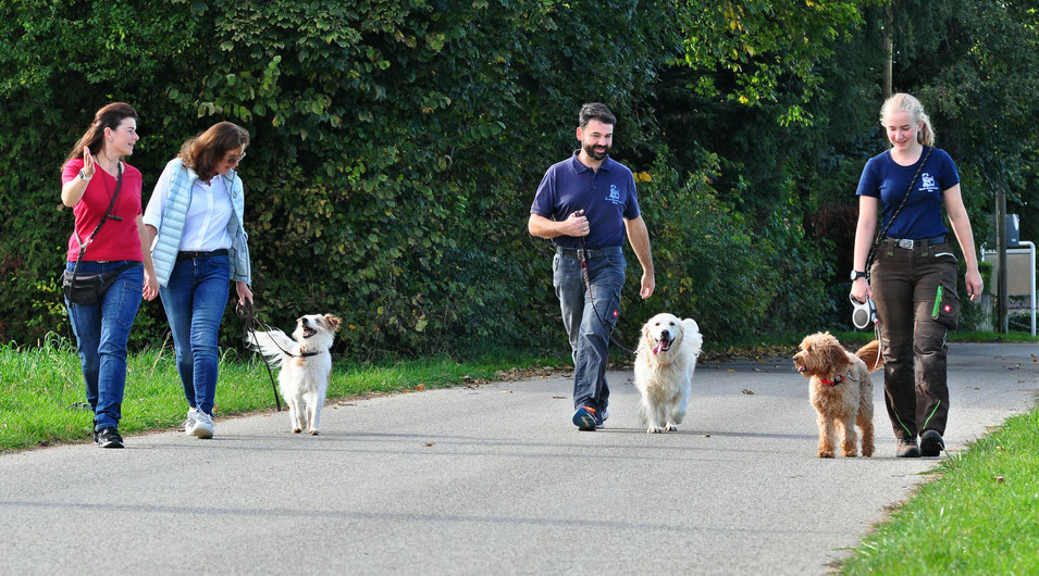 Puppy training boarding school near me clearance