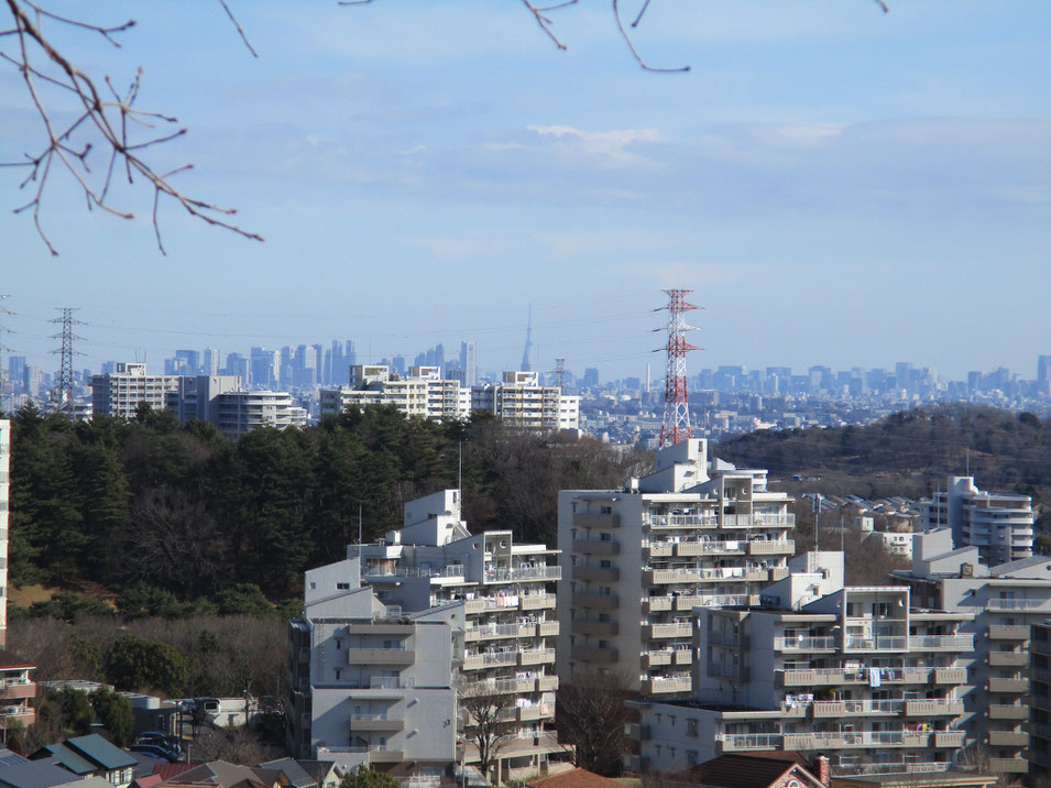 見晴らし緑地からの展望　高台からの眺めを楽しめる!ローラーすべり台が人気の公園