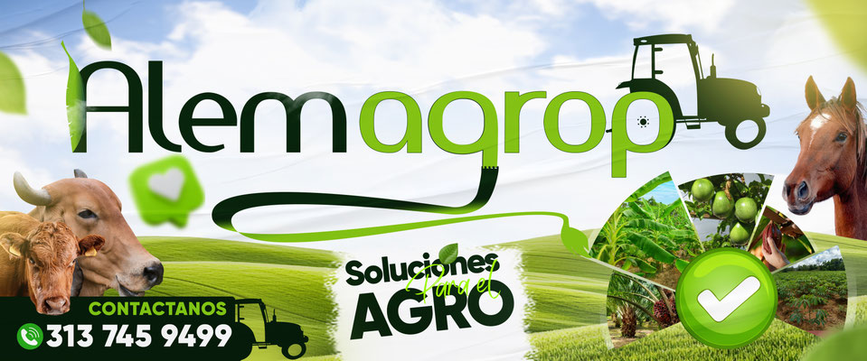 Página web Almacen alemagrop