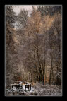 Foto des Tages 01.01.2021