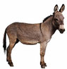 woordenschat dierengeluiden (OL L2)