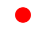 国内プレイヤー