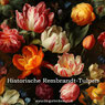Historische Rembrandt-Tulpen kaufen!