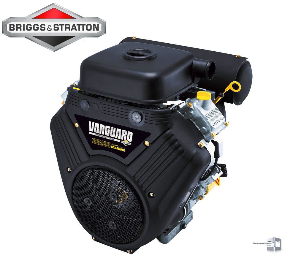 Linea Briggs and Stratton Distribuidora B&S Mexicana