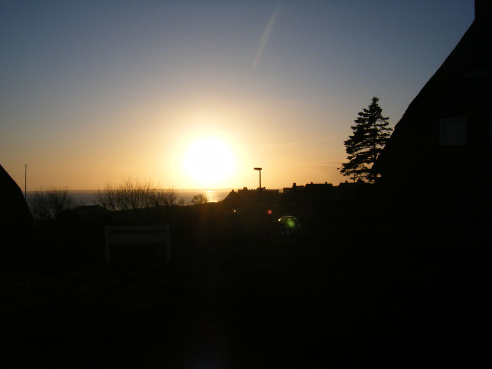 Kachelöfen, antike Kachelöfen, Stilkamine, Wasserführende Kamine und