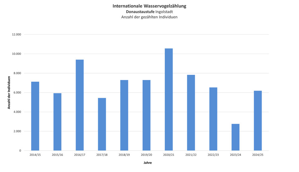 Stand: 13.04.2025, Copyright: LBV KG Ingolstadt/ Peter Krause