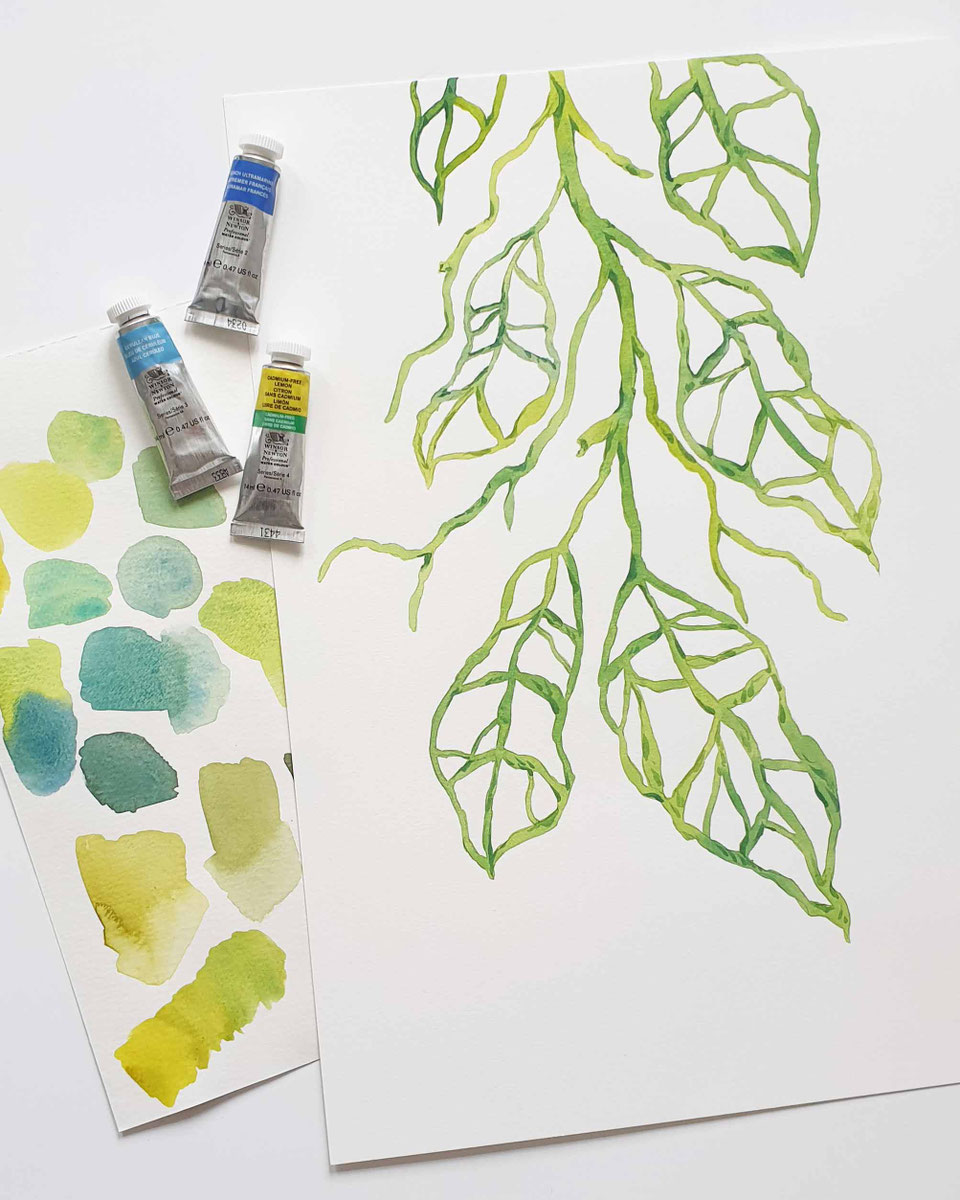 Monstera Obliqua Mit Aquarellfarben Malen F r Mehr WOW In Deinem Aquarell monstera-obliqua-mit-aquarellfarben-malen-f-r-mehr-wow-in-deinem-aquarell