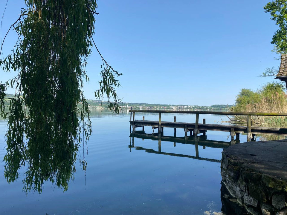 Sonderthema Wasser