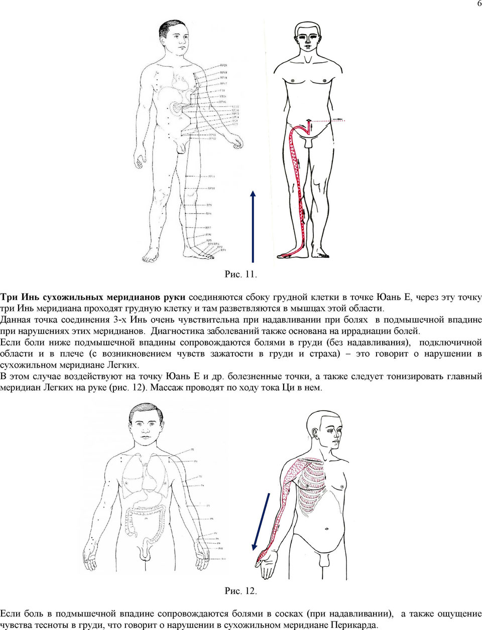 меридиан легких. инь меридианы. инь меридианы. энергетические меридианы человека схема и направления. меридианы су джок на теле.