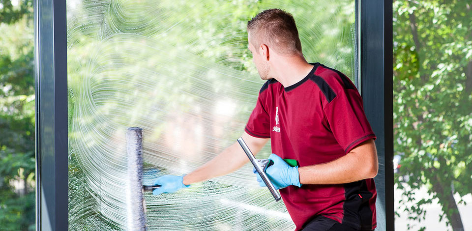 Alpina Professionelle Glasreinigung - Hochwertige Reiniger Für Strahlend Saubere Fenster