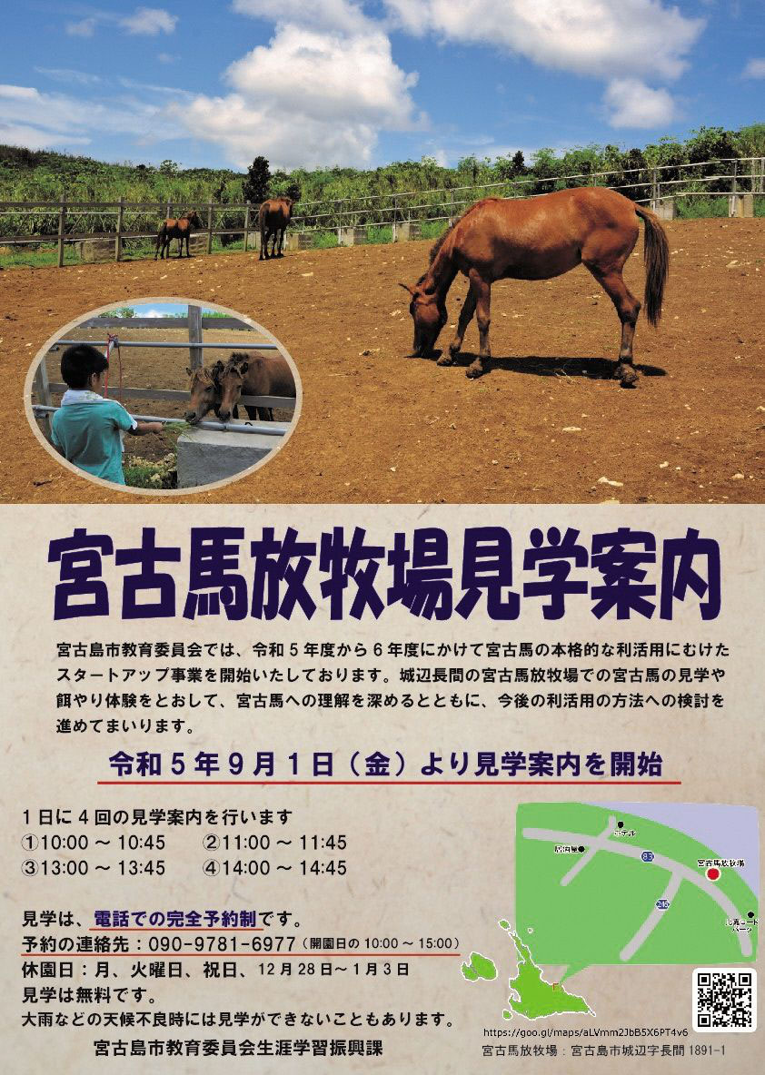 「宮古馬展」