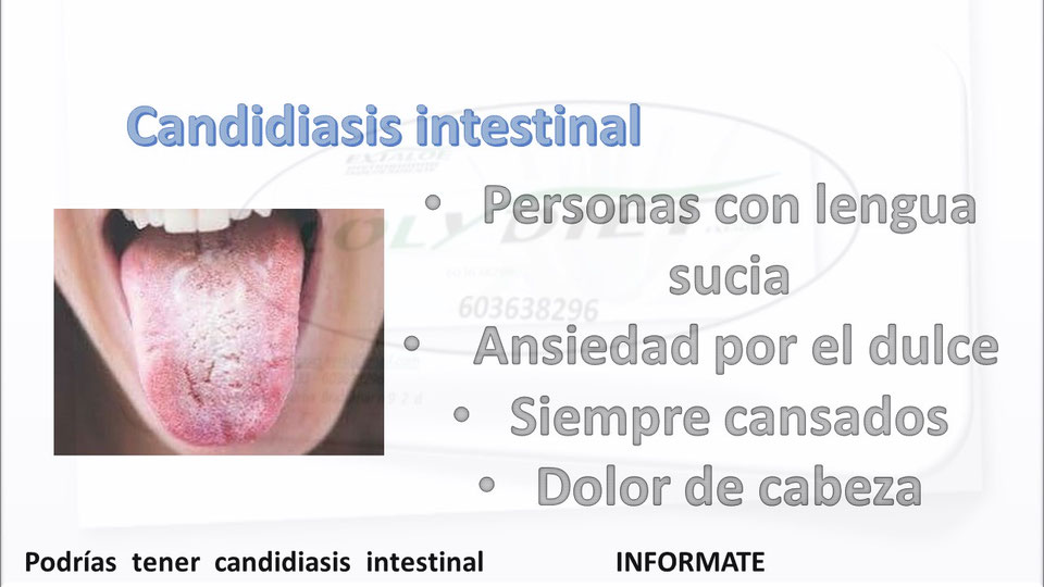 CANDIDIASIS INTESTINAL LOLYDIET ALOE VERA