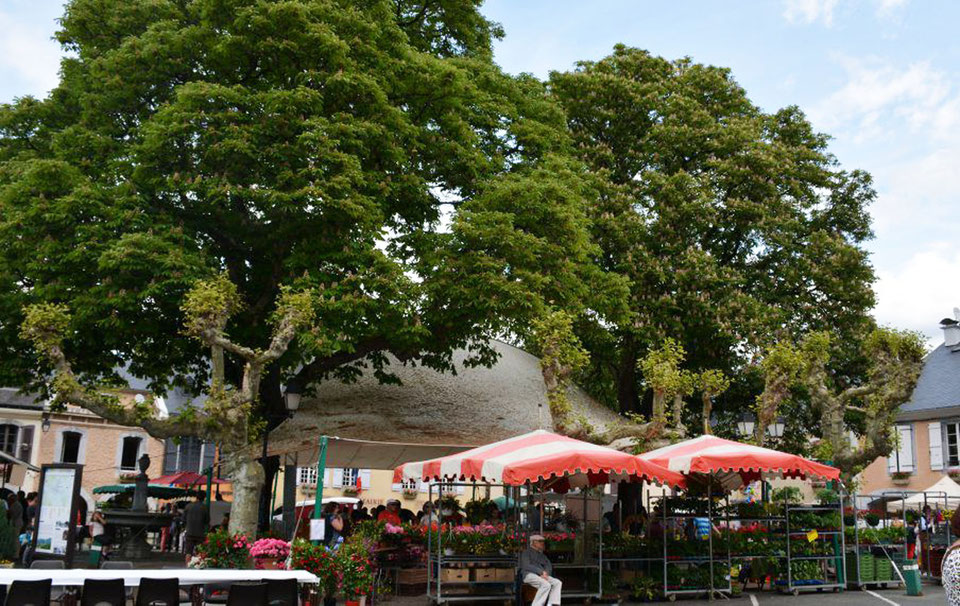 Le marché de SaintPédeBigorre Office de Tourisme de SaintPédeBigorre dans les Hautes Le marché de SaintPédeBigorre Office de Tourisme de SaintPédeBigorre dans les Hautes