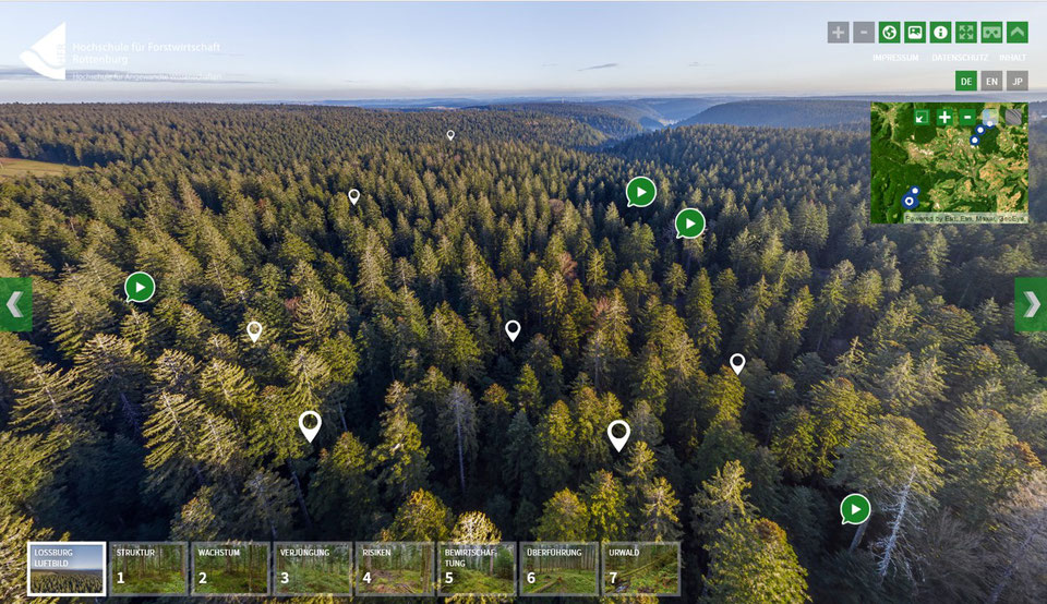 Digitale Wald-Exkursion