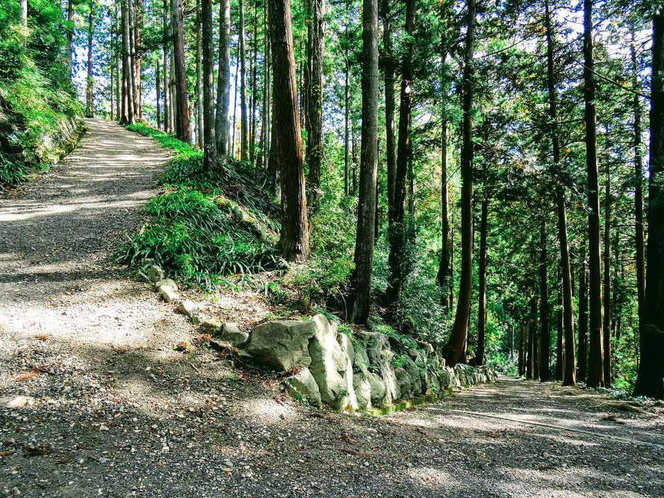 危宿生まれ285人にみる運気の強い人とは? 占いと開運の総合窓口霊符ワークス