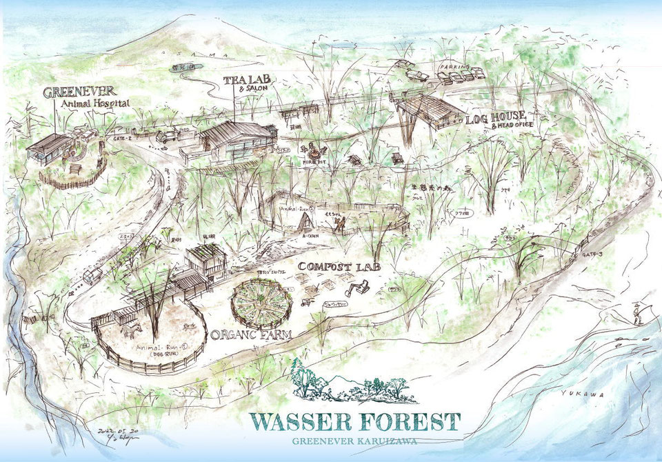 Wasserの森の現状図2022年