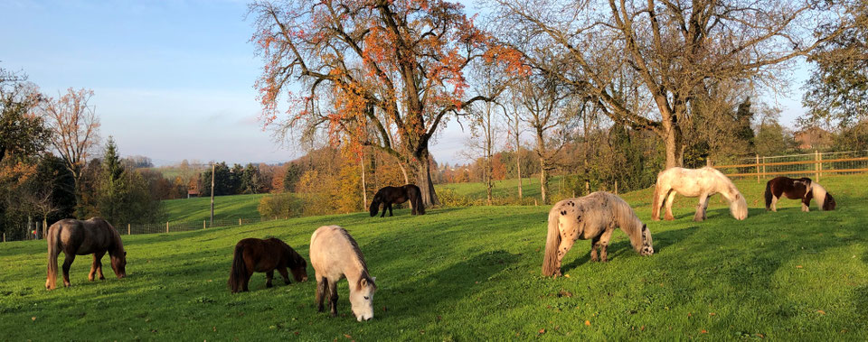 Laternenhof - Familie Walser