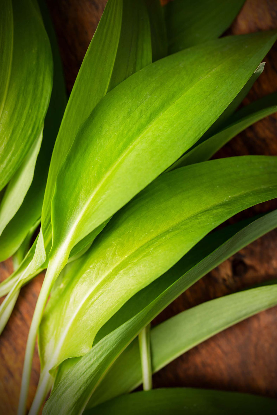 Bärlauch, Käsekuchen, Allium ursinum, backen, Backrezept, Frühling, Quarkkuchen, Frischkäsekuchen, Keksboden, herzhaft