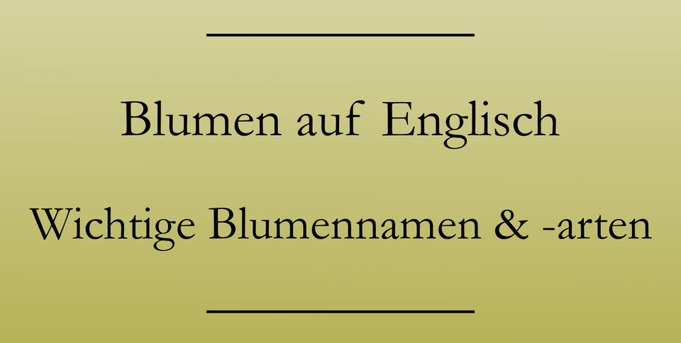 Blumen auf Englisch Liste der Blumennamen Englisch lernen