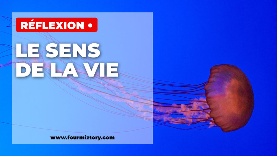 Le sens de la vie !  L'autoédition expliquée