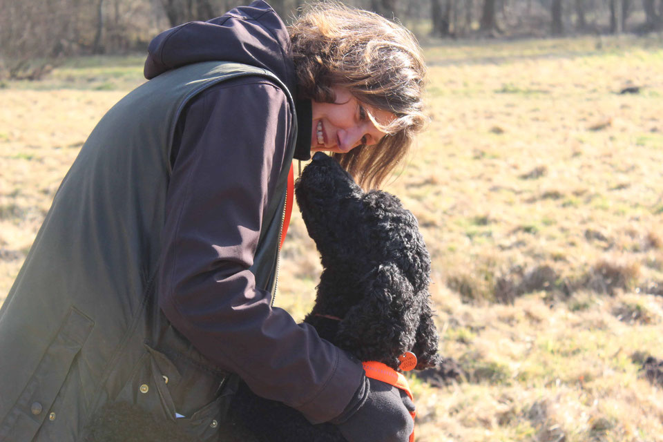 Hundeausbildung in Hamburg & Umgebung - happy-mit-hunds Webseite!