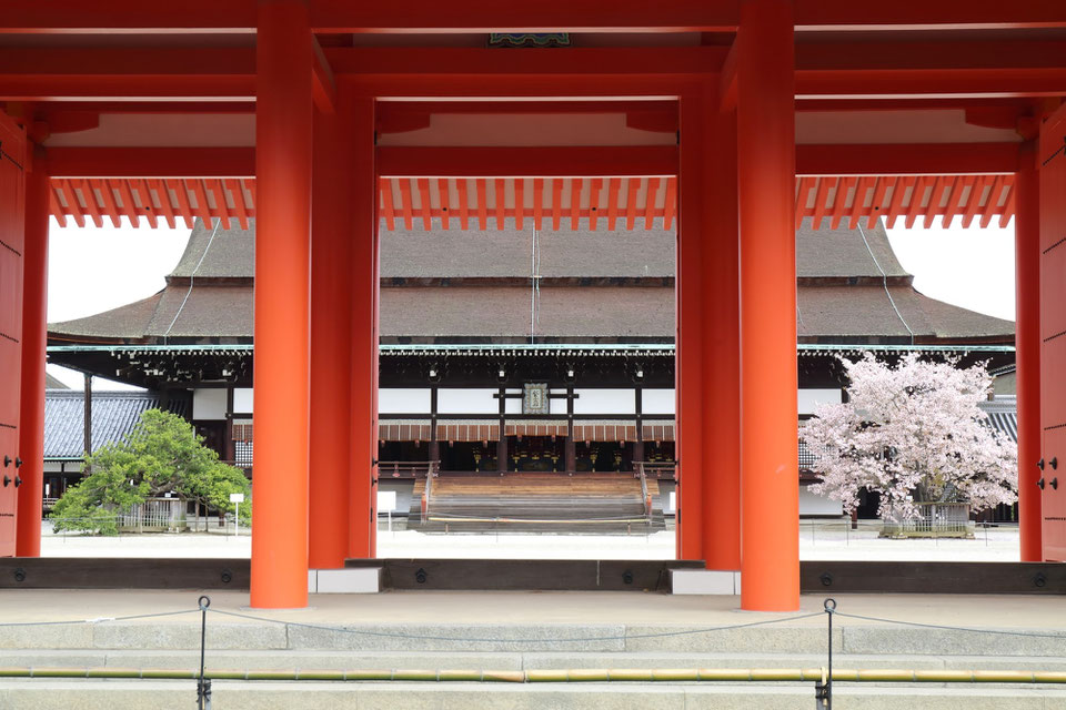 事務所概要 桜橘法律事務所 事務所概要 桜橘法律事務所