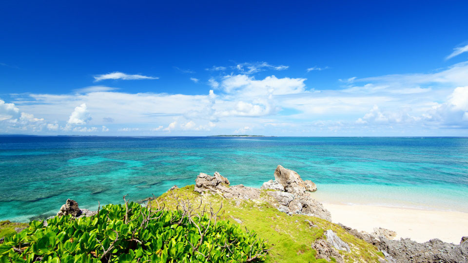 What is the "Blue Zone"? Where people live the longest. wellnesstoureng